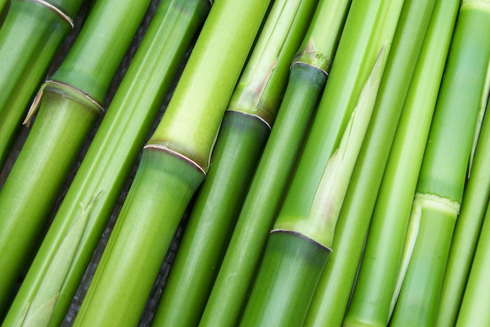 Bamboo Massage